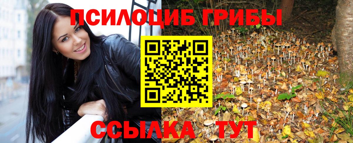 Галлюциногенные грибы MAGIC MUSHROOMS  Вход с VPN  Строитель  Галлюциногенные грибы MAGIC MUSHROOMS 
